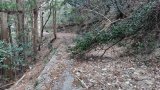 6369.jpg (1016KB)